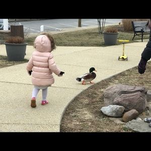 Meet your Posher, Moises